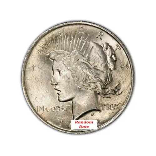 Silver Peace Dollar *Random Date* - AU