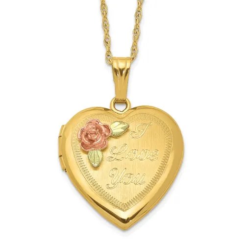 10k-w-12k-accents-and-14k-gold-filled-chain-black-hills-locket