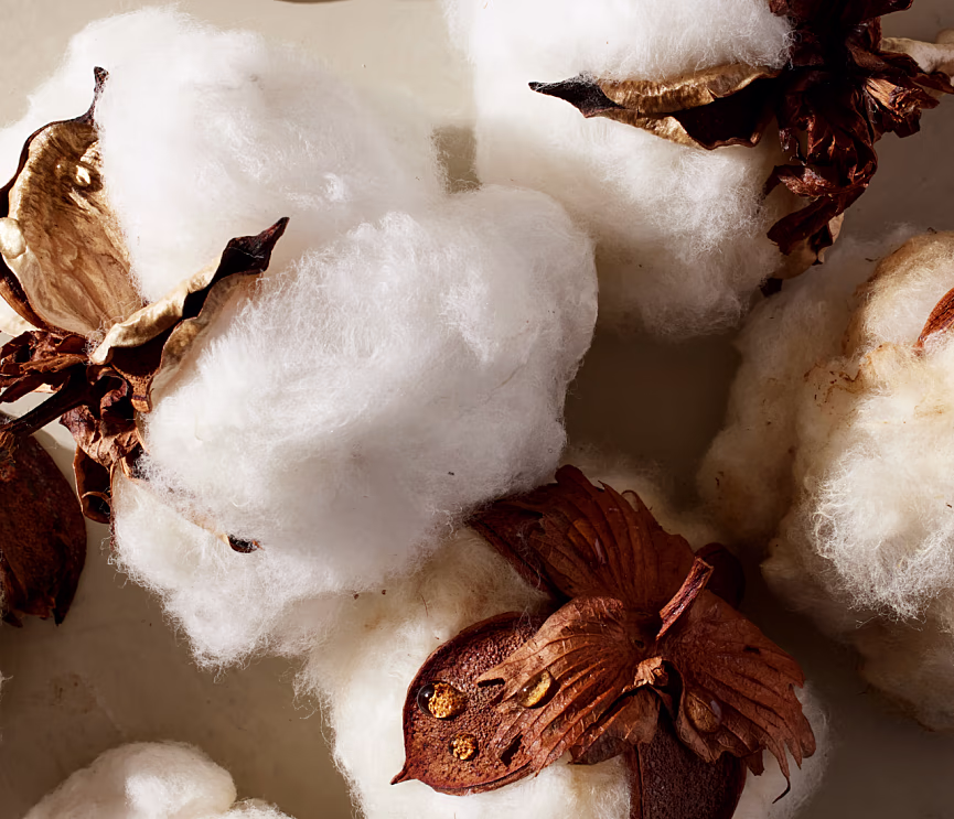 PDP SoftKnit-Sleepshirt Image3