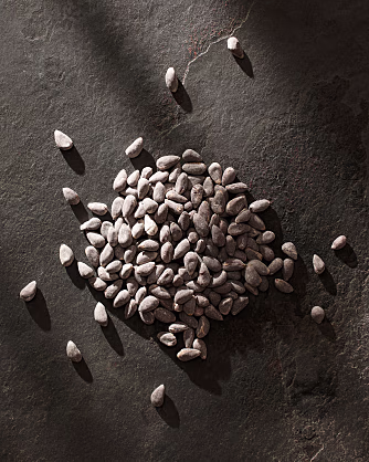 Cotton Seeds