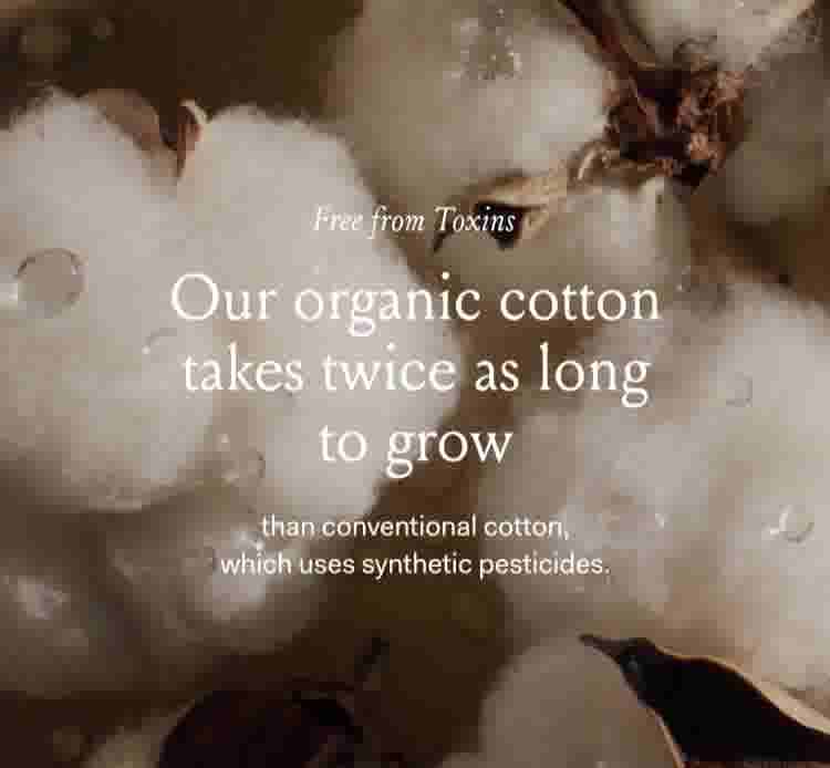 video background image - Quality cotton takes time