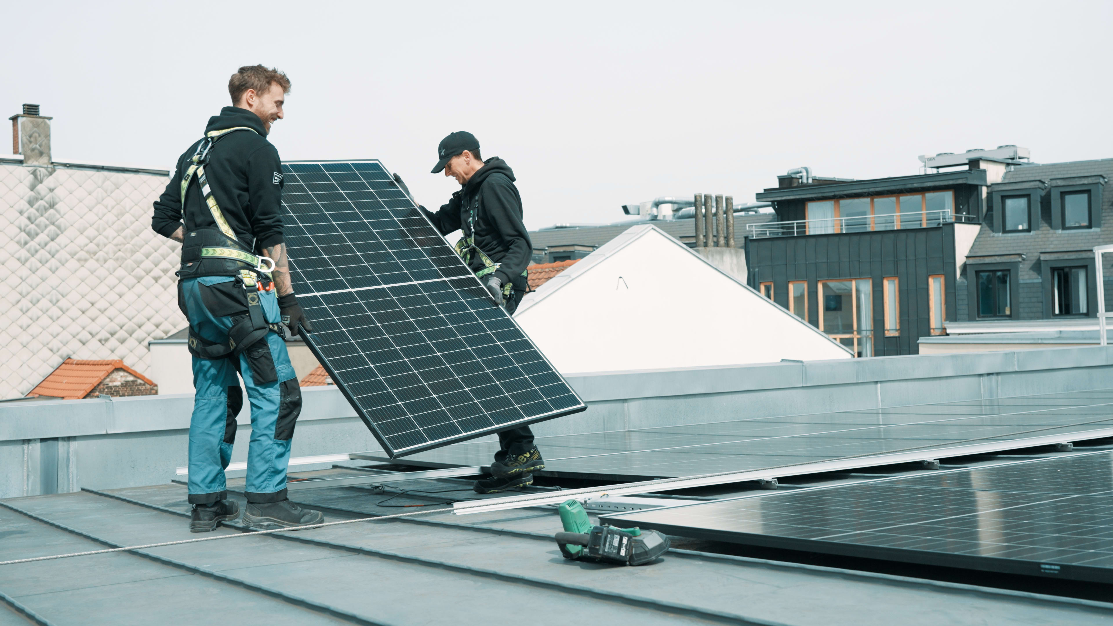 Willy - profile-3180