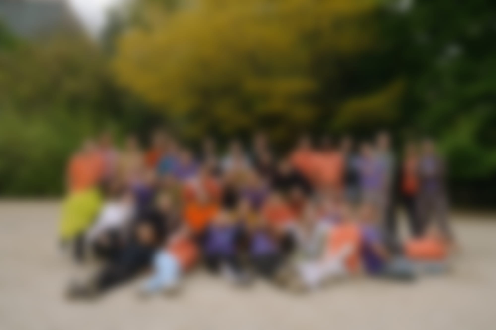 Team Bolt Energie