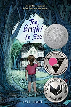 Book cover for Too Bright to See by Kyle Lukoff