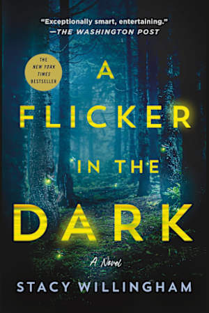 Book cover for A Flicker in the Dark by Stacy Willingham