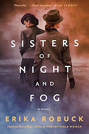 Book cover for Sisters of Night and Fog by Erika Robuck