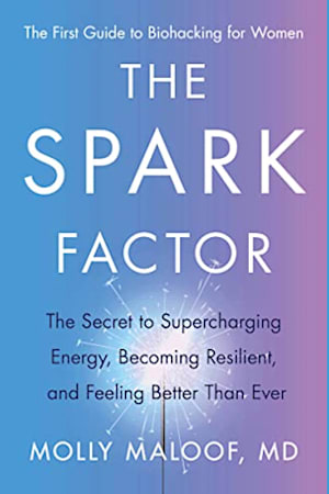 Book cover for The Spark Factor by Dr. Molly Maloof