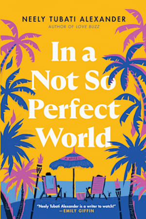 Book cover for In a Not So Perfect World by Neely Tubati Alexander