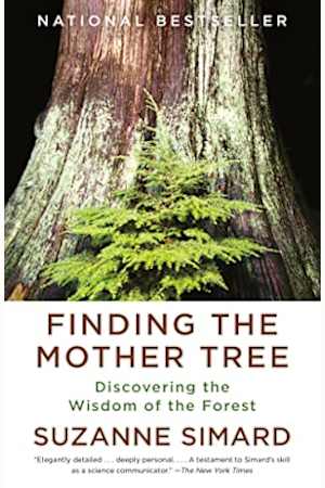 Book cover for Finding the Mother Tree by Suzanne Simard