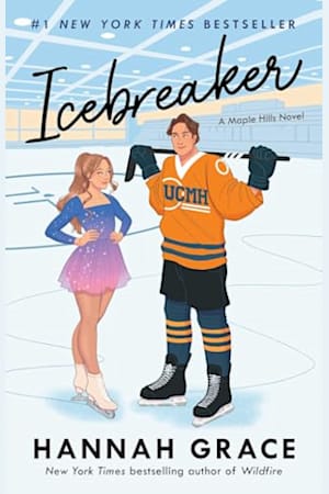 Icebreaker by Hannah Grace - BookBub