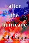Book cover for After the Hurricane by Leah Franqui