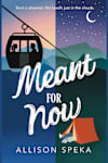 Book cover for Meant for Now by Allison Speka