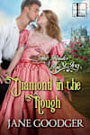 Book cover for Diamond in the Rough by Jane Goodger