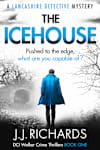 Book cover for The Icehouse by JJ Richards
