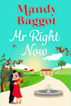Book cover for Mr Right Now by Mandy Baggot