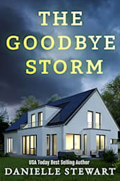 The Goodbye Storm