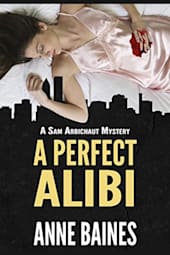 A Perfect Alibi