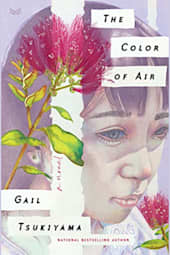 The Color of Air