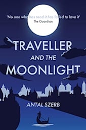 Traveller and the Moonlight