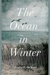 The Ocean in Winter