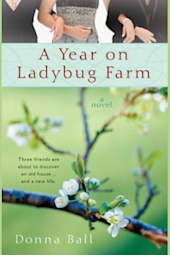 A Year on Ladybug Farm