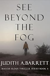 See Beyond the Fog