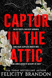 Captor in the Attic