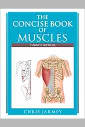 The Concise Book of Muscles
