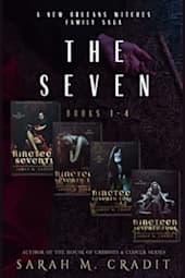 The Seven: Books 1–4