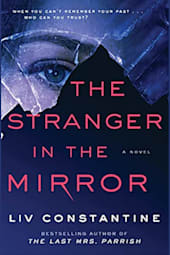 The Stranger in the Mirror