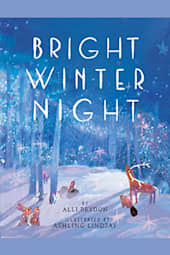 Bright Winter Night