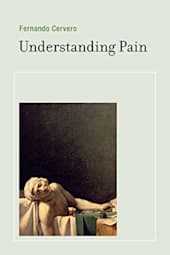 Understanding Pain