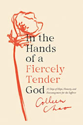 In the Hands of a Fiercely Tender God