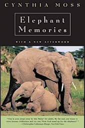 Elephant Memories
