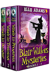 Blair Wilkes Mysteries: Books 1–3