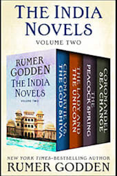 The India Novels: Volume Two