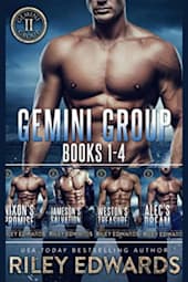 Gemini Group: Books 1–4