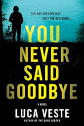 You Never Said Goodbye