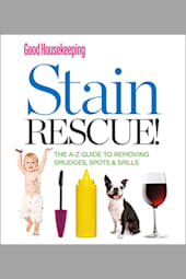 Stain Rescue!