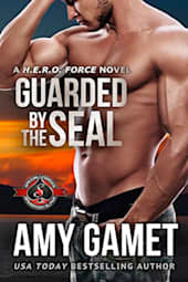 Guarded by the SEAL