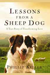 Lessons from a Sheep Dog