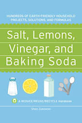 Salt, Lemons, Vinegar, and Baking Soda