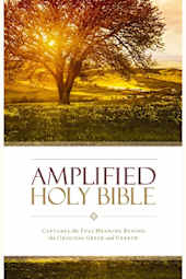 Amplified Holy Bible