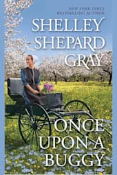 Once Upon a Buggy