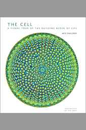 The Cell