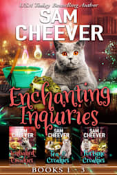 Enchanting Inquiries: Books 1–3