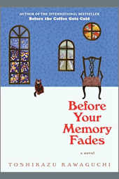 Before Your Memory Fades