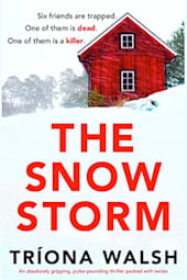 The Snowstorm