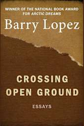 Crossing Open Ground