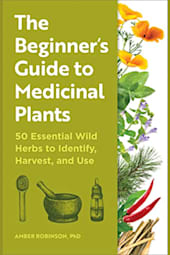 The Beginner's Guide to Medicinal Plants